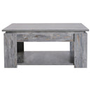 Grey Scratch Resistant Coffee Table by Lavishway | Coffee Tables-44792
